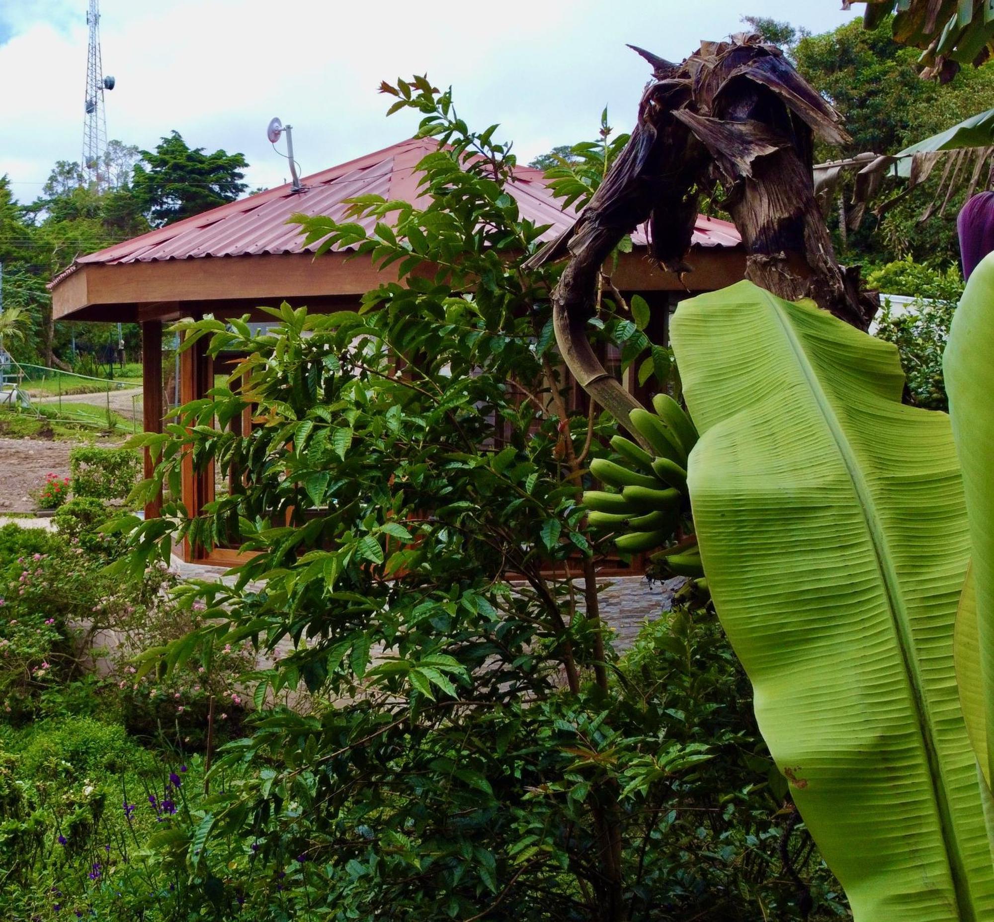 Appartamento Cabina Monteverde Soan De Montana Esterno foto