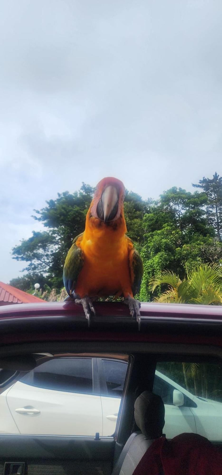 Appartamento Cabina Monteverde Soan De Montana Esterno foto