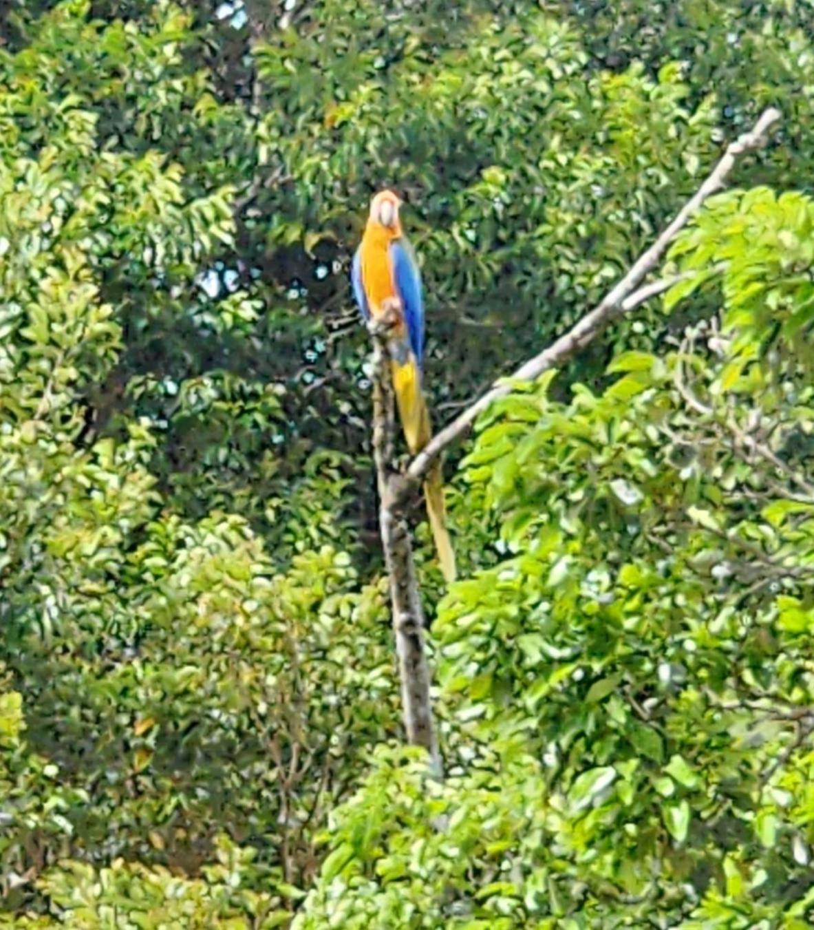 Appartamento Cabina Monteverde Soan De Montana Esterno foto
